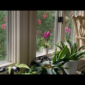 Meet your Posher, Melaine